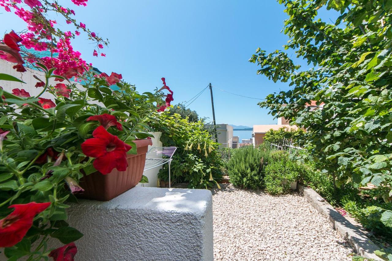 Apartments By The Sea Zivogosce - Blato, Makarska - 1057 Blato  外观 照片